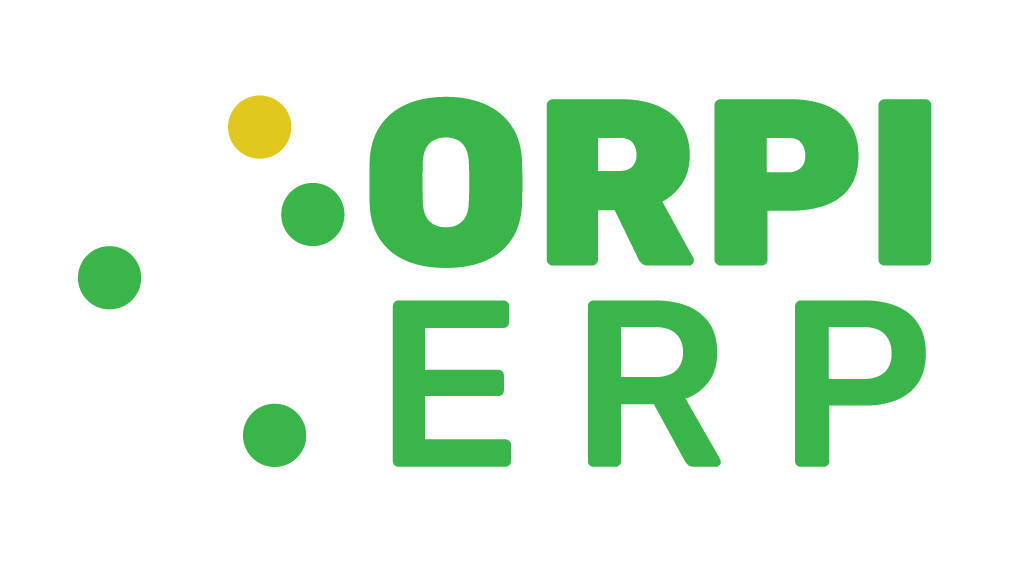 ERP Organizacion Pionera