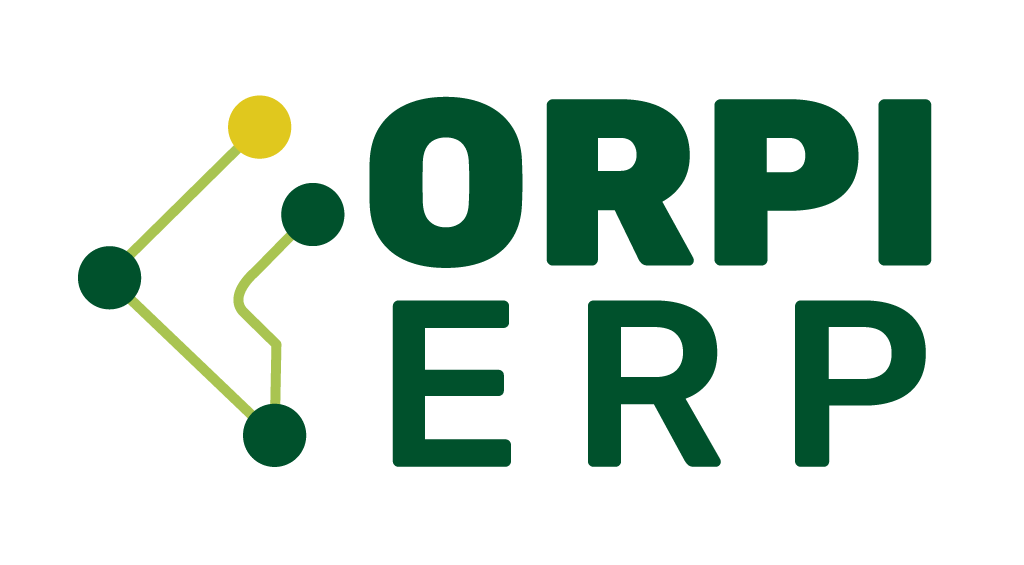 ERP Organizacion Pionera